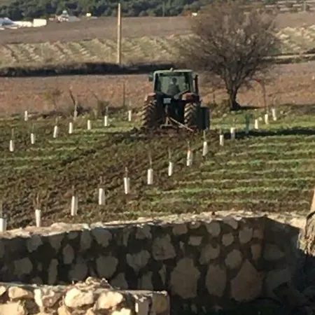 Сasa de vacaciones Vtar Don Benito, Su En *